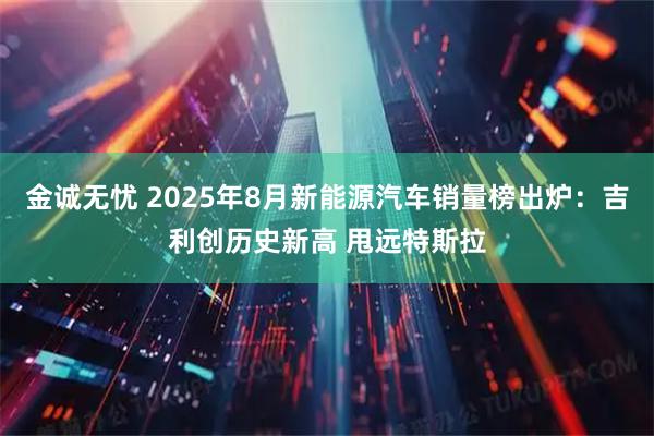 金诚无忧 2025年8月新能源汽车销量榜出炉：吉利创历史新高 甩远特斯拉