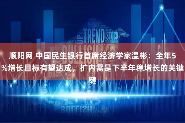 顺阳网 中国民生银行首席经济学家温彬：全年5%增长目标有望达成，扩内需是下半年稳增长的关键
